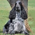 images (18)